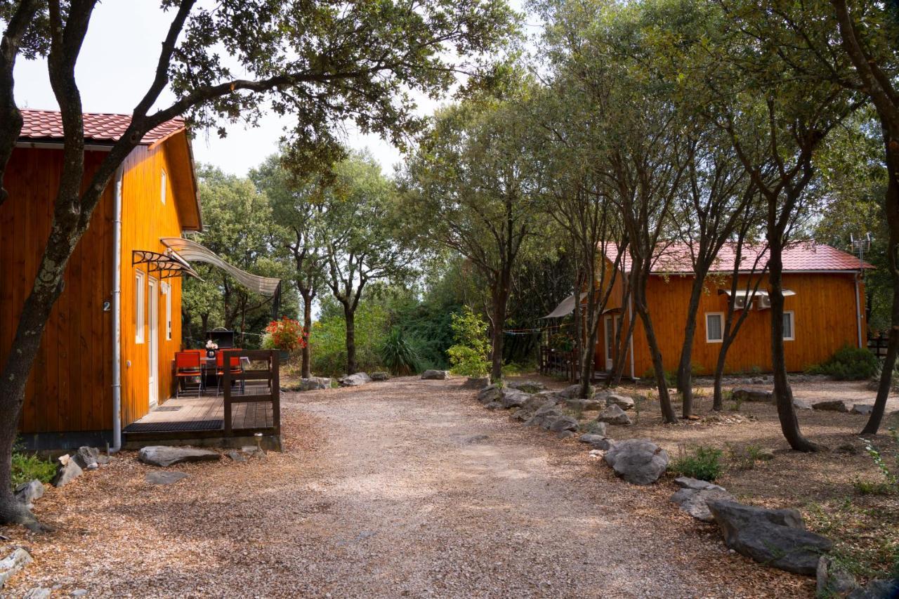 אנדוזה Gites De Plos Appart Chalet Piscine Spa מראה חיצוני תמונה